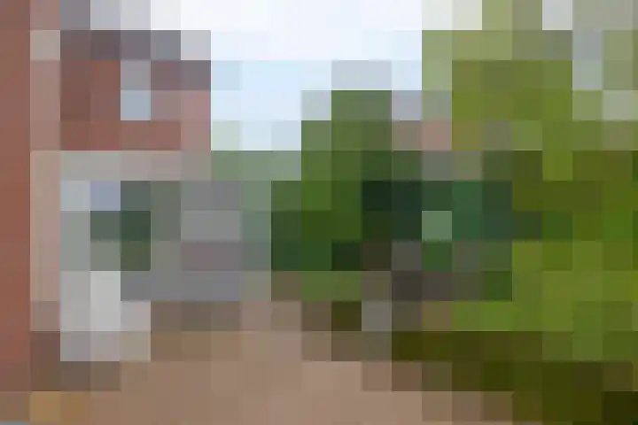 Hoogstraat 48 Beesel thumbnail 28
