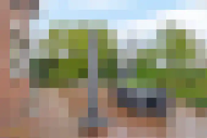 Hoogstraat 48 Beesel thumbnail 29