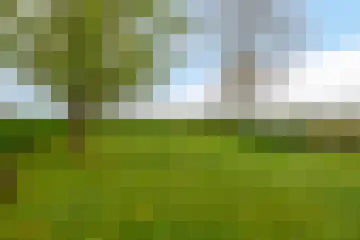 Hoogstraat 48 Beesel thumbnail 33