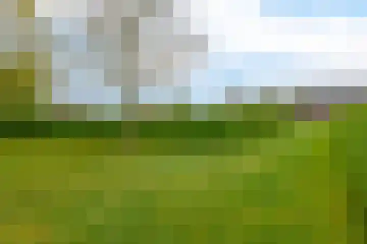 Hoogstraat 48 Beesel thumbnail 34