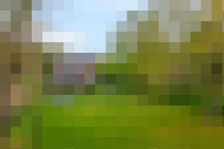 Hoogstraat 48 Beesel thumbnail 35