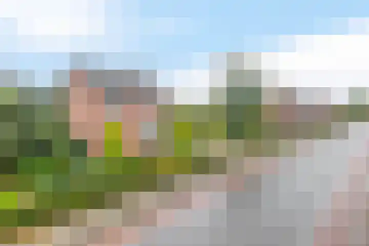 Hoogstraat 48 Beesel thumbnail 37