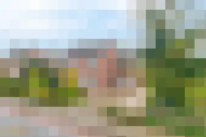 Hoogstraat 48 Beesel thumbnail 38