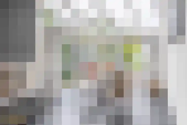 Hoogstraat 48 Beesel thumbnail 8