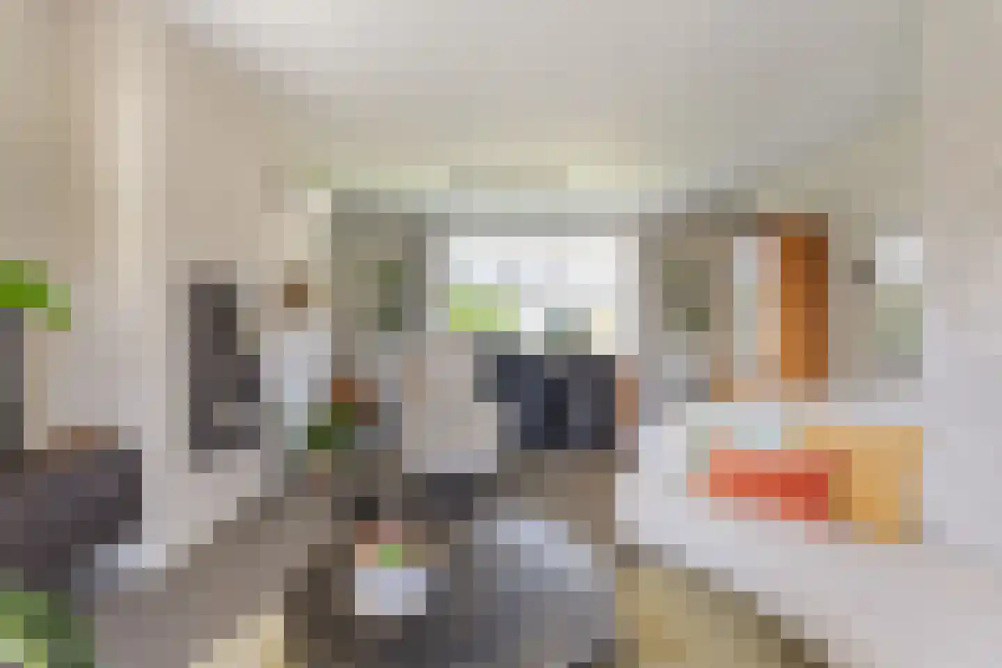 Hoogstraat 48 Beringe thumbnail 7