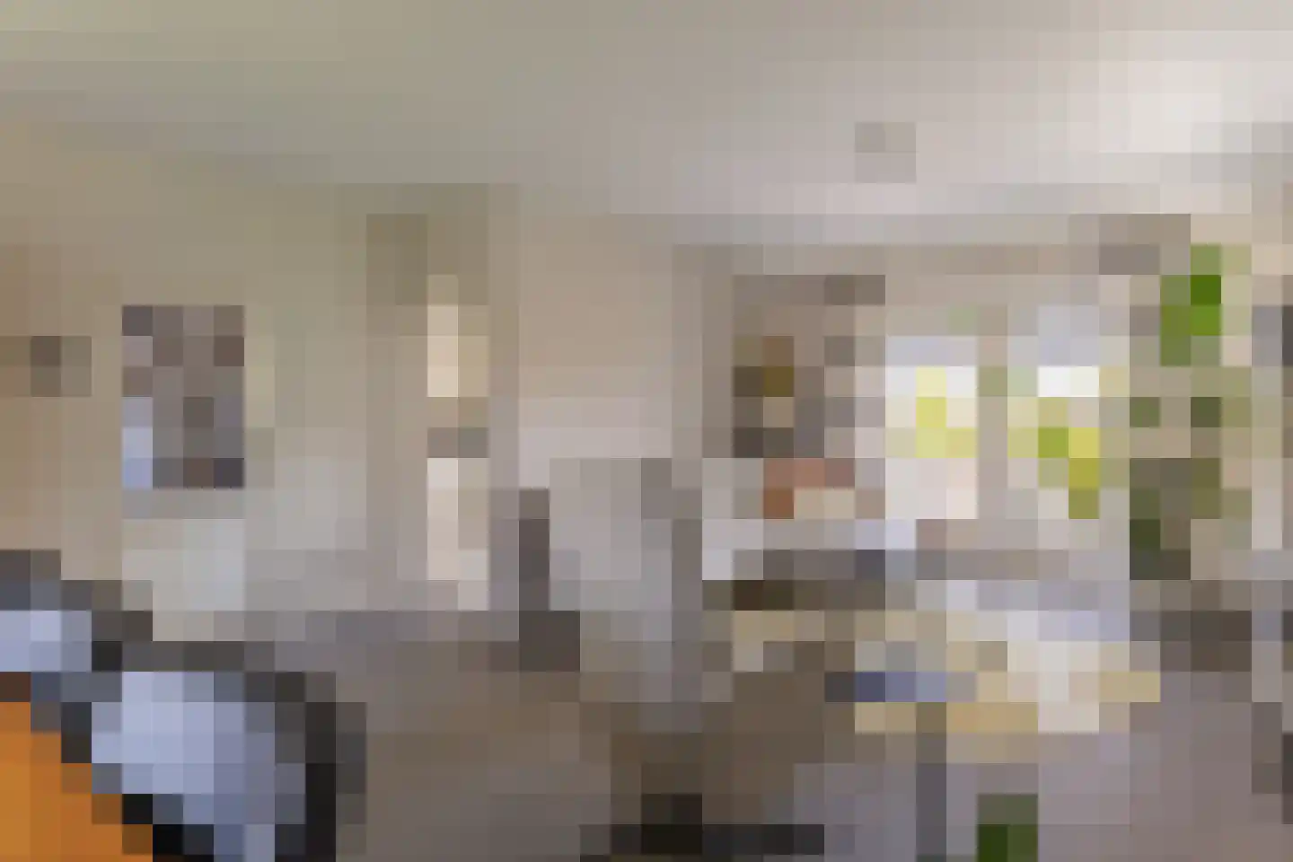 Hoogstraat 48 Beringe thumbnail 9