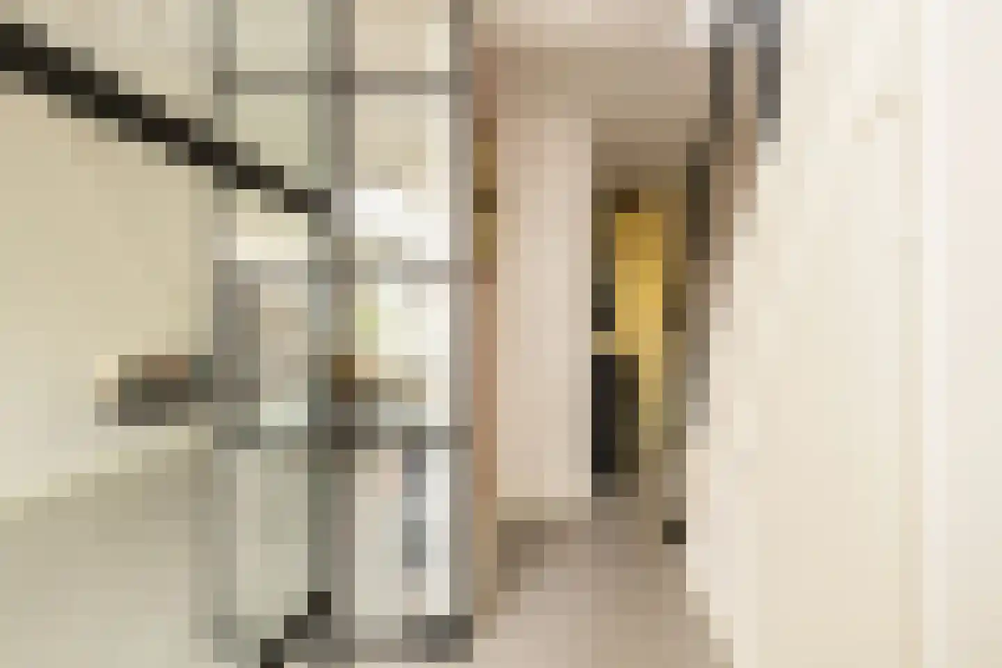 Hoogstraat 49 Haastrecht thumbnail 11