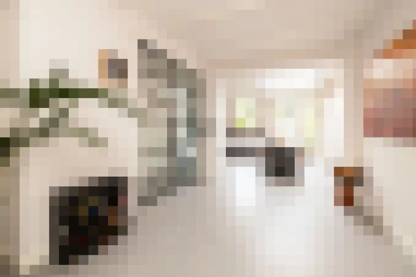 Hoogstraat 49 Haastrecht thumbnail 17