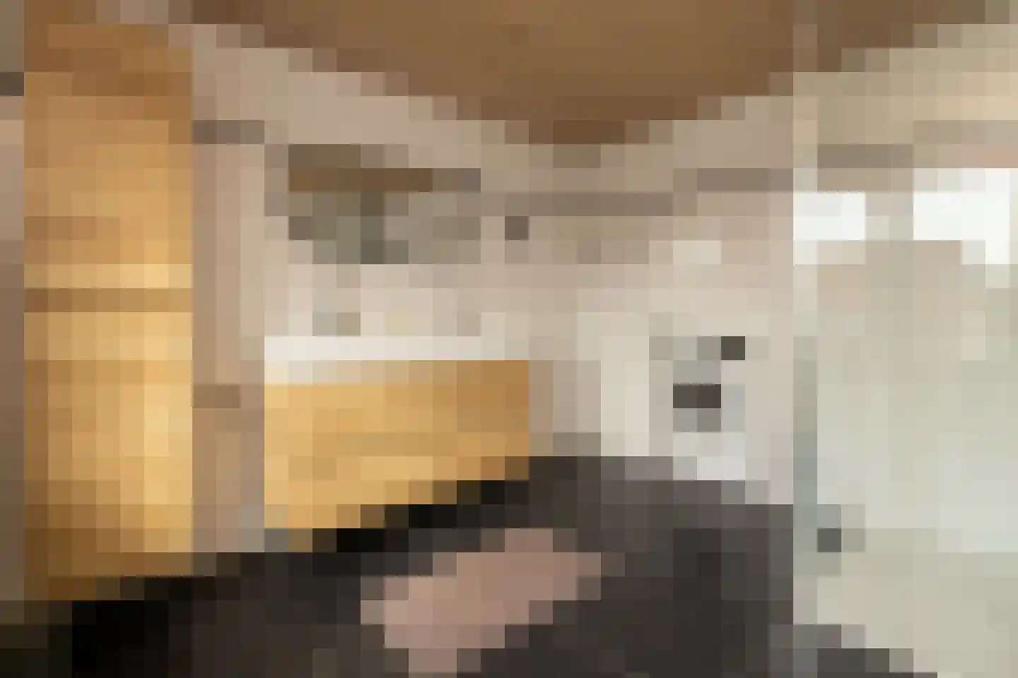 Hoogstraat 49 Haastrecht thumbnail 33