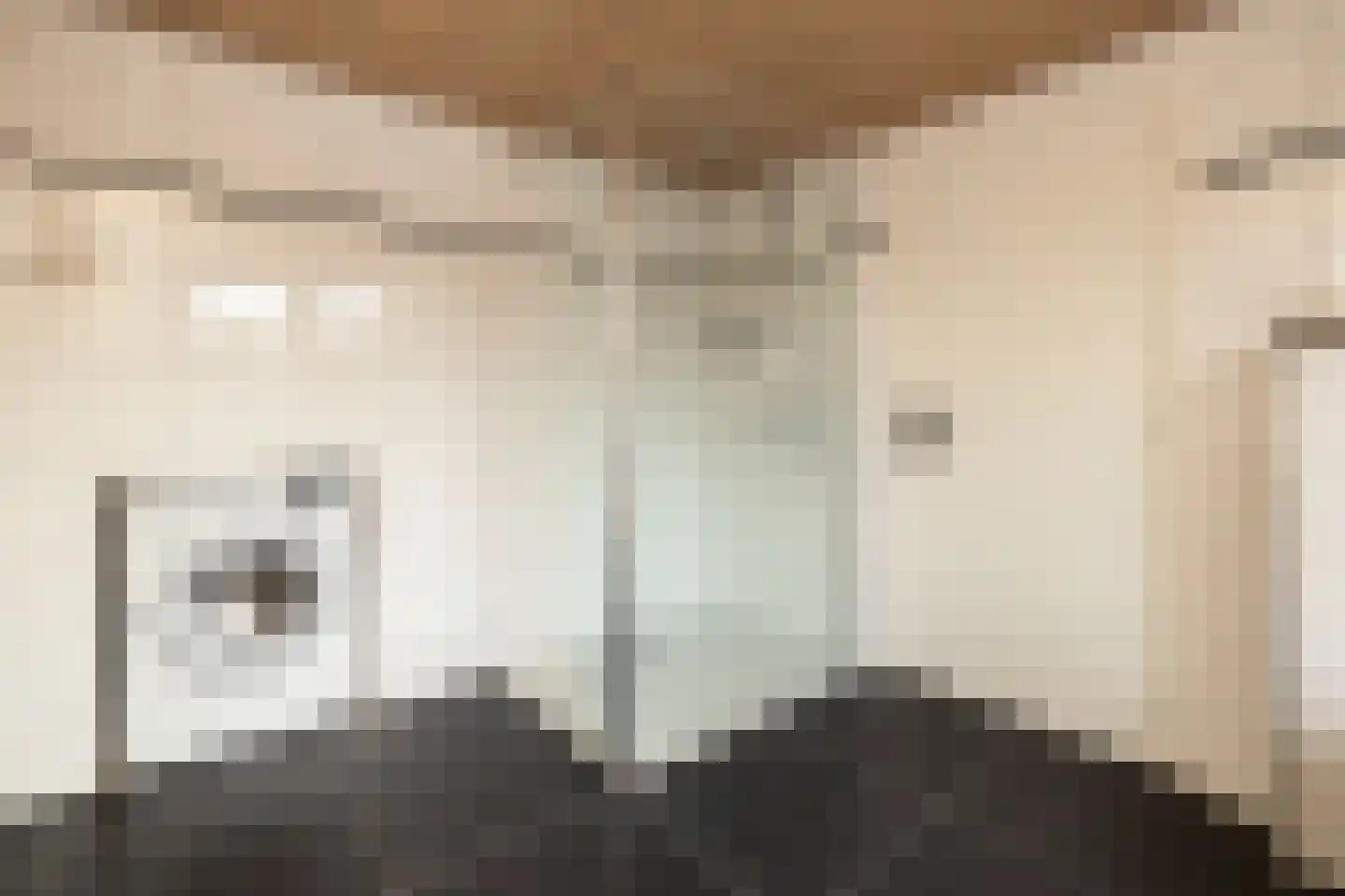 Hoogstraat 49 Haastrecht thumbnail 34