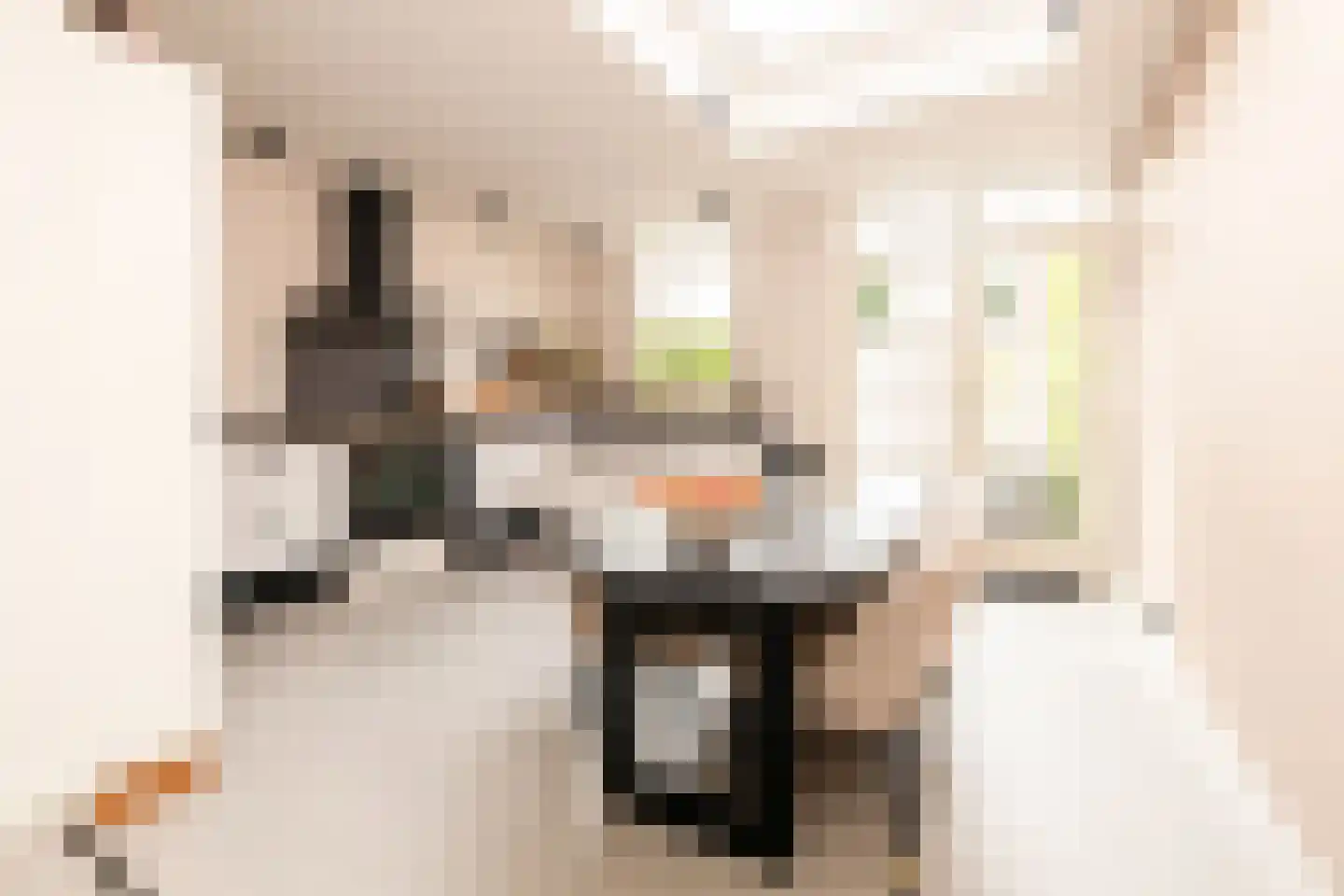 Hoogstraat 49 Haastrecht thumbnail 4