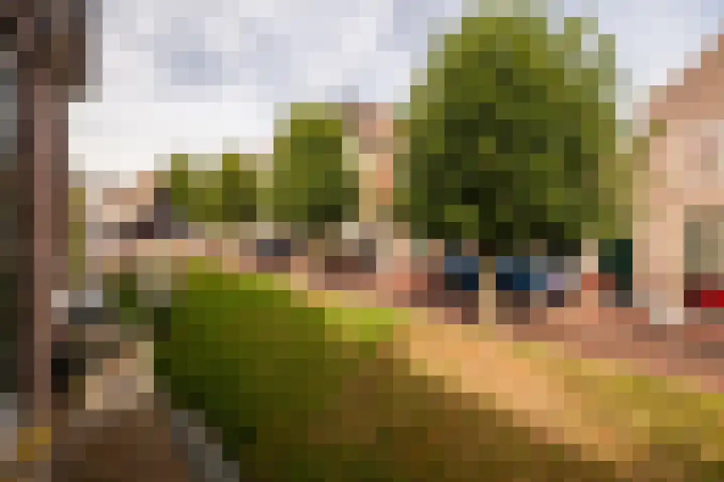 Hoogstraat 49 Haastrecht thumbnail 43