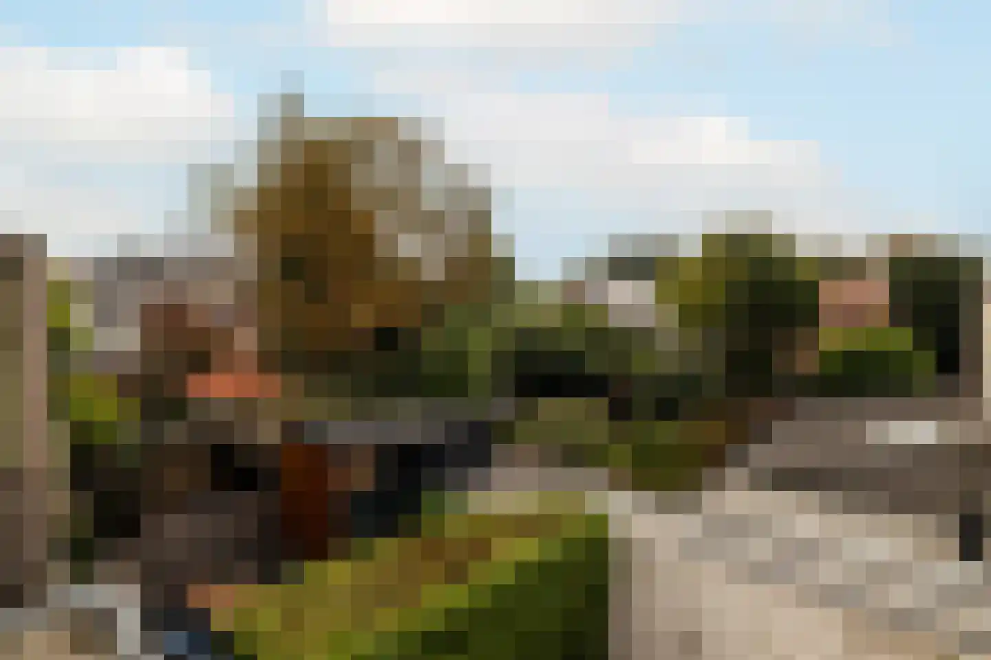 Hoogstraat 49 Haastrecht thumbnail 46