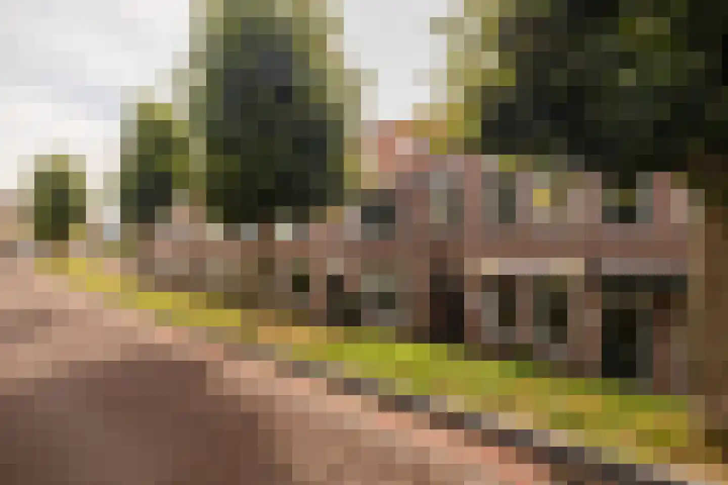 Hoogstraat 49 Haastrecht thumbnail 52