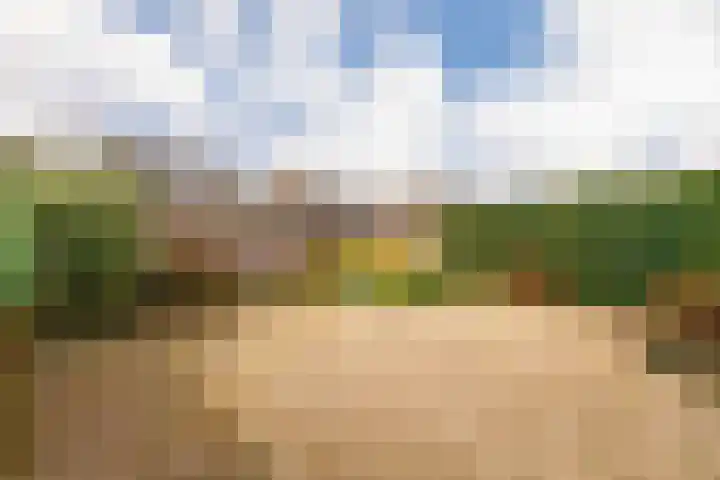 Hoogstraat 49 Nijkerk thumbnail 4