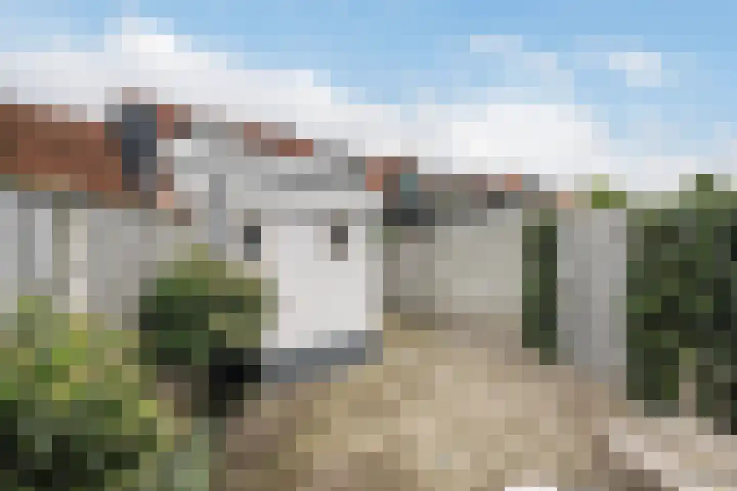 Hoogstraat 49 Tholen thumbnail 34