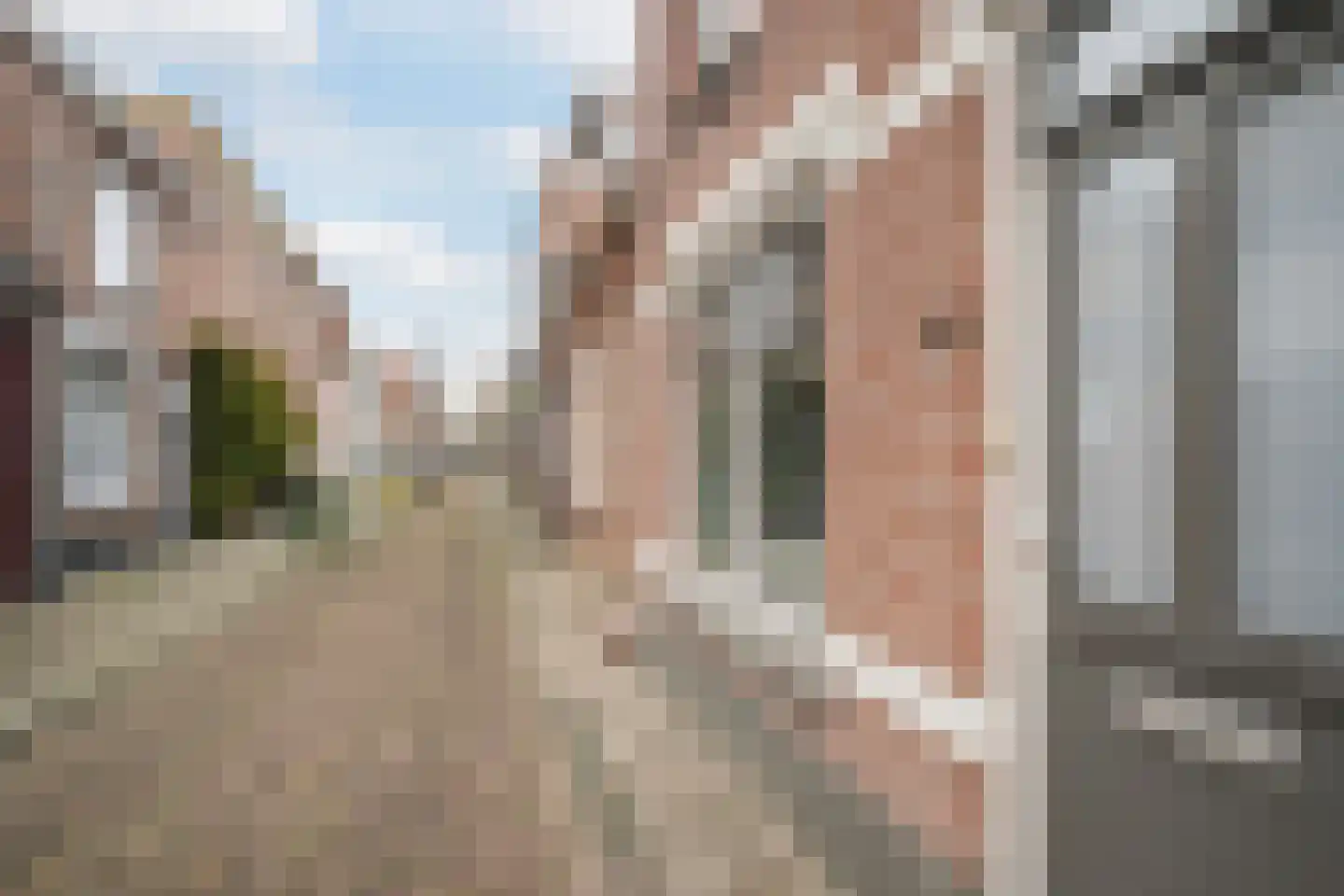 Hoogstraat 49 Tholen thumbnail 9