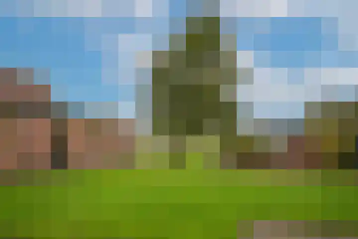 Hoogstraat 5 Afferden thumbnail 34