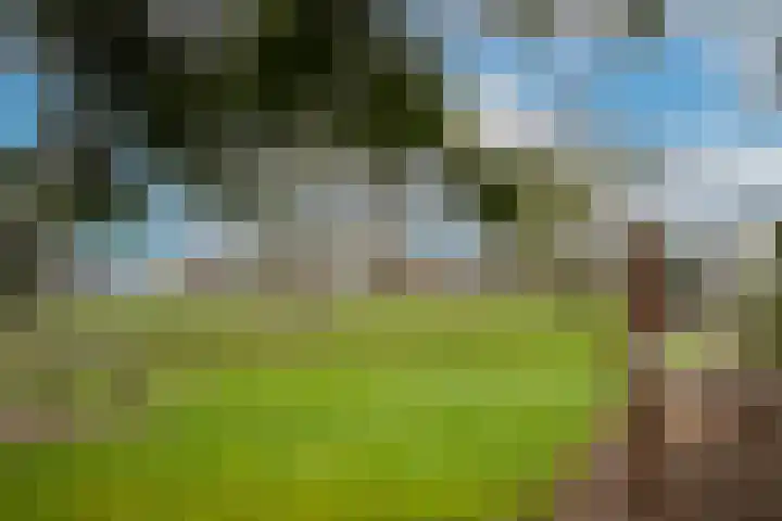 Hoogstraat 5 Afferden thumbnail 44