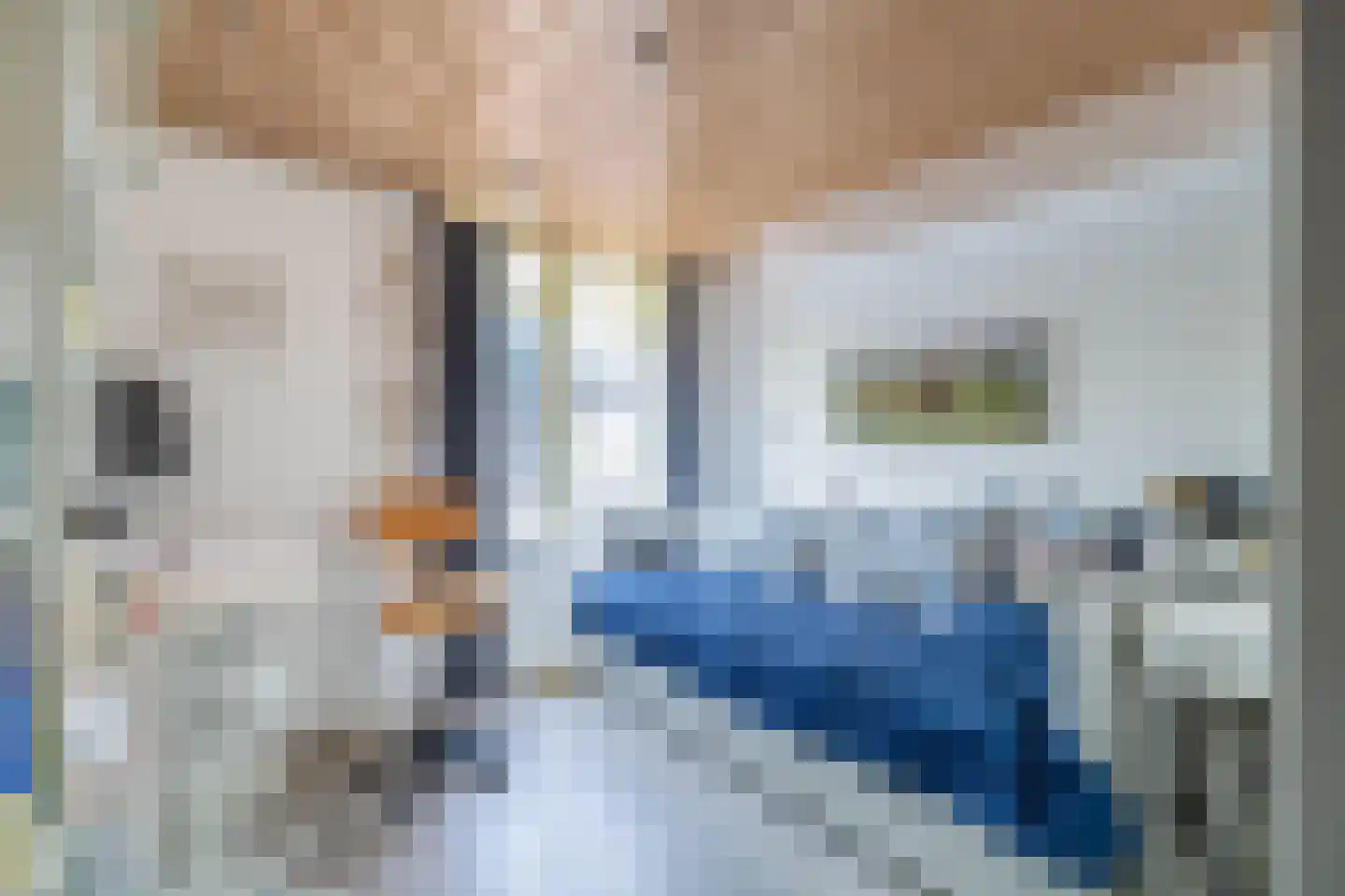 Hoogstraat 5 Den Helder thumbnail 8