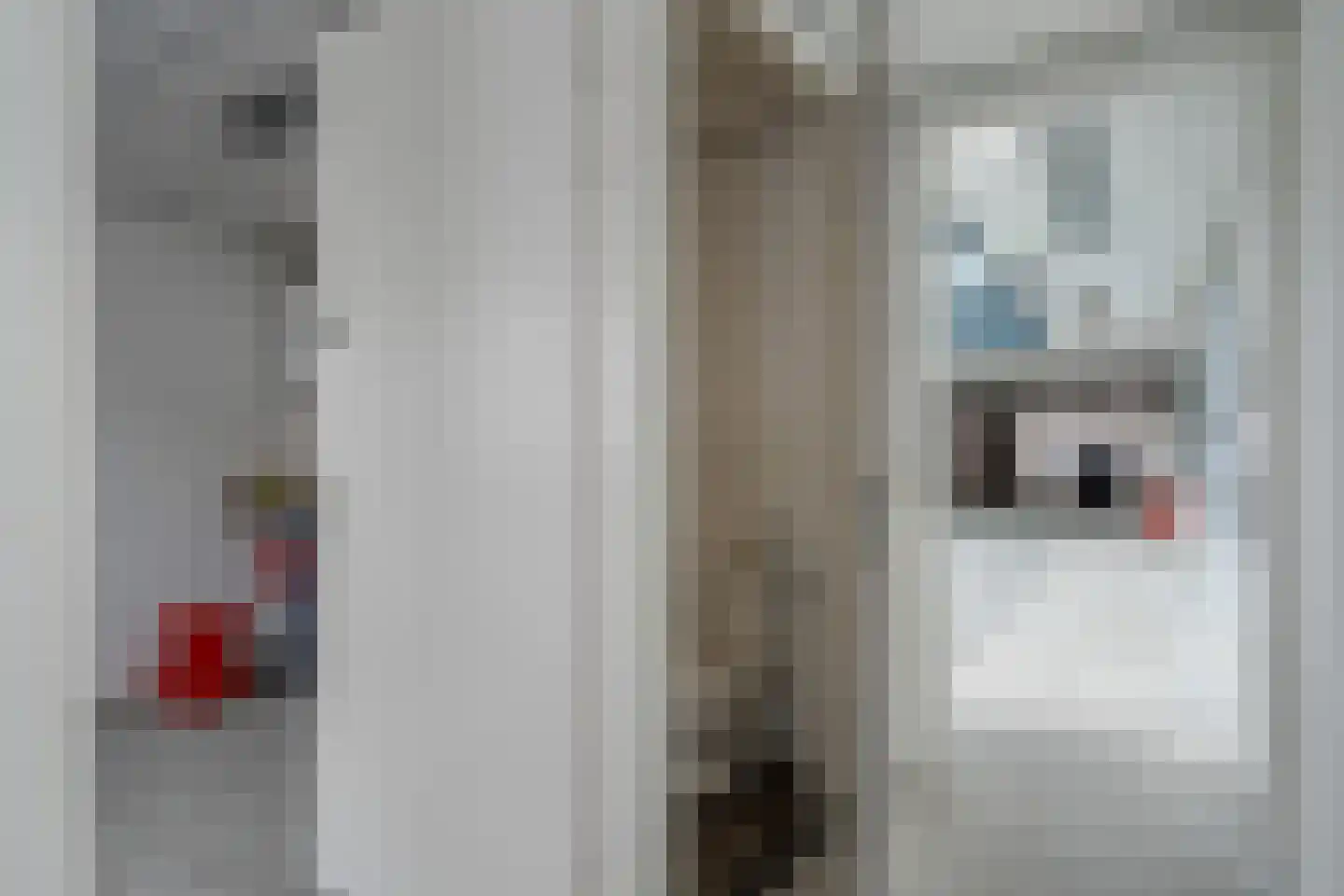 Hoogstraat 5 Hasselt thumbnail 18