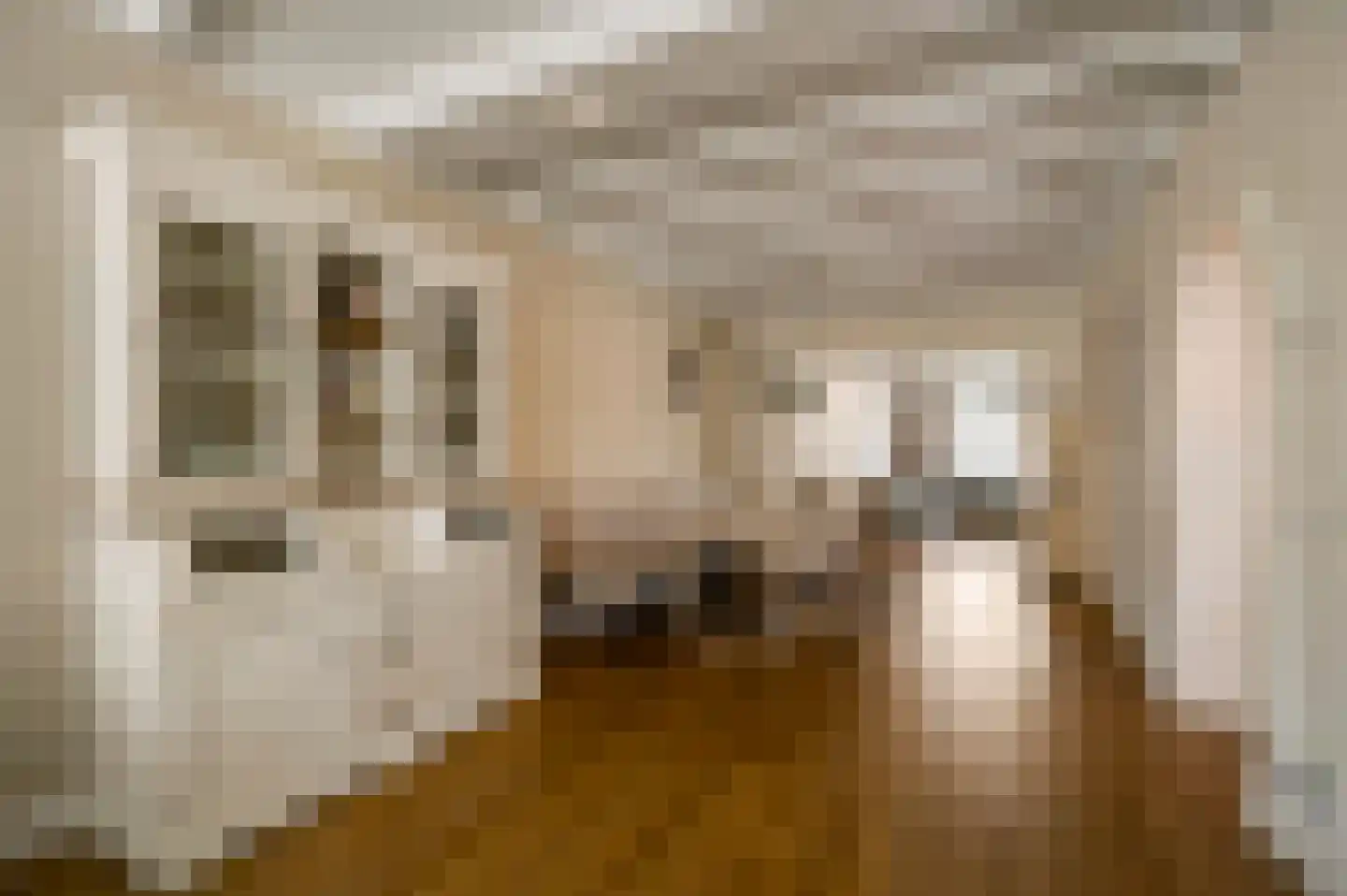 Hoogstraat 5 Swalmen thumbnail 16