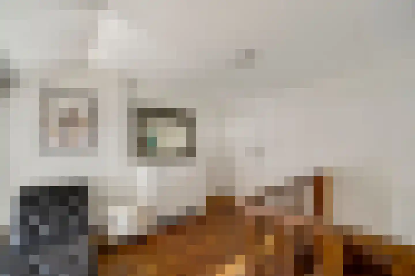 Hoogstraat 5 Swalmen thumbnail 31