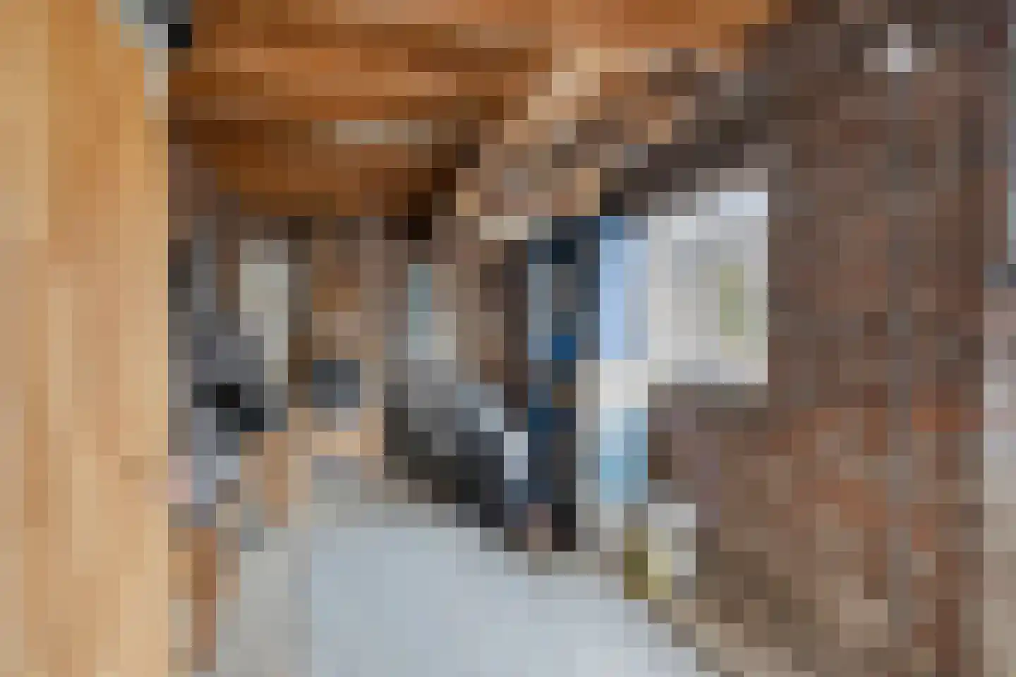 Hoogstraat 5 Swalmen thumbnail 33