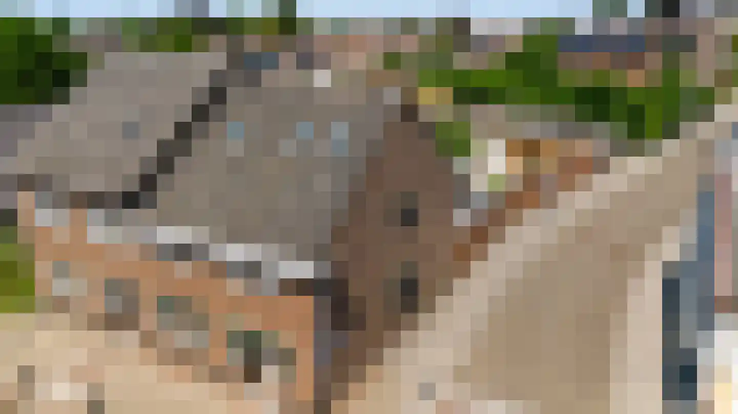 Hoogstraat 5 Swalmen thumbnail 63