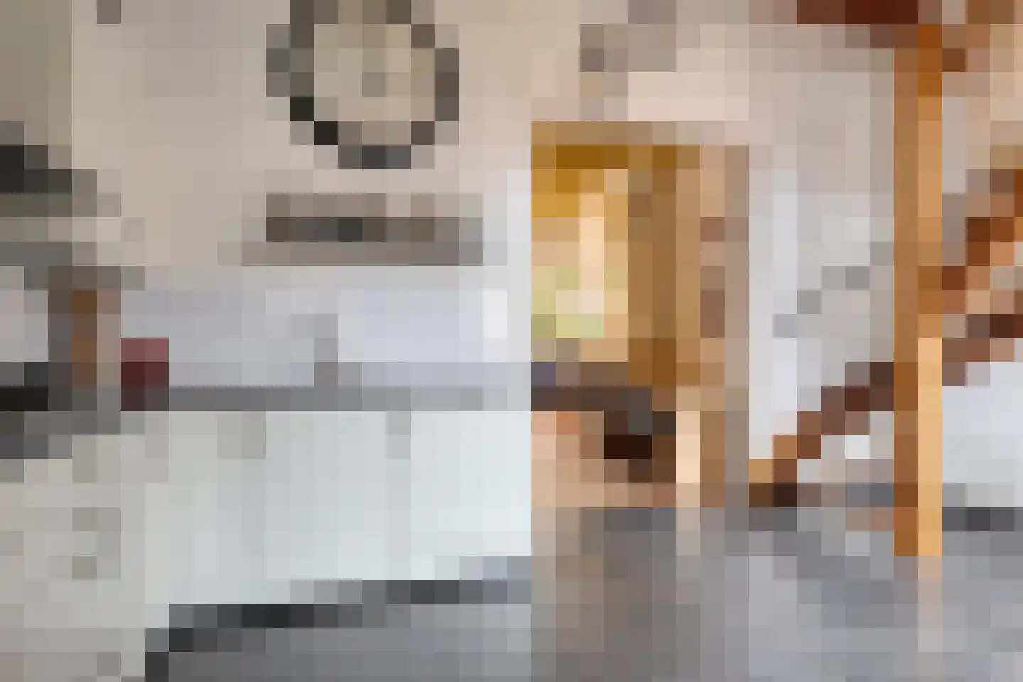 Hoogstraat 5 Tholen thumbnail 20