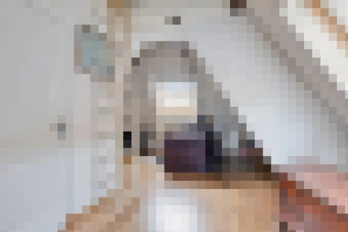 Hoogstraat 5 Tholen thumbnail 35