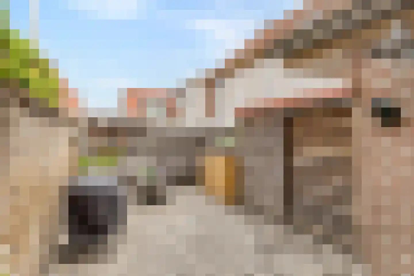 Hoogstraat 5 Tholen thumbnail 45