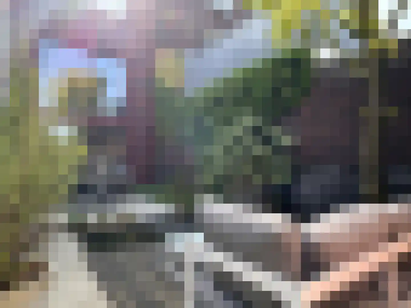 Hoogstraat 5 Valkenswaard thumbnail 33