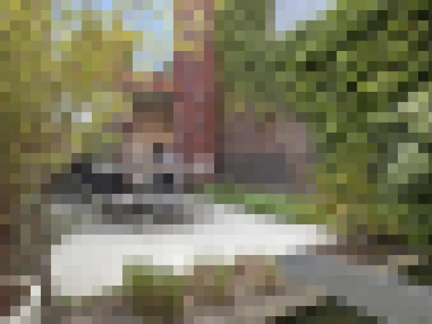 Hoogstraat 5 Valkenswaard thumbnail 34