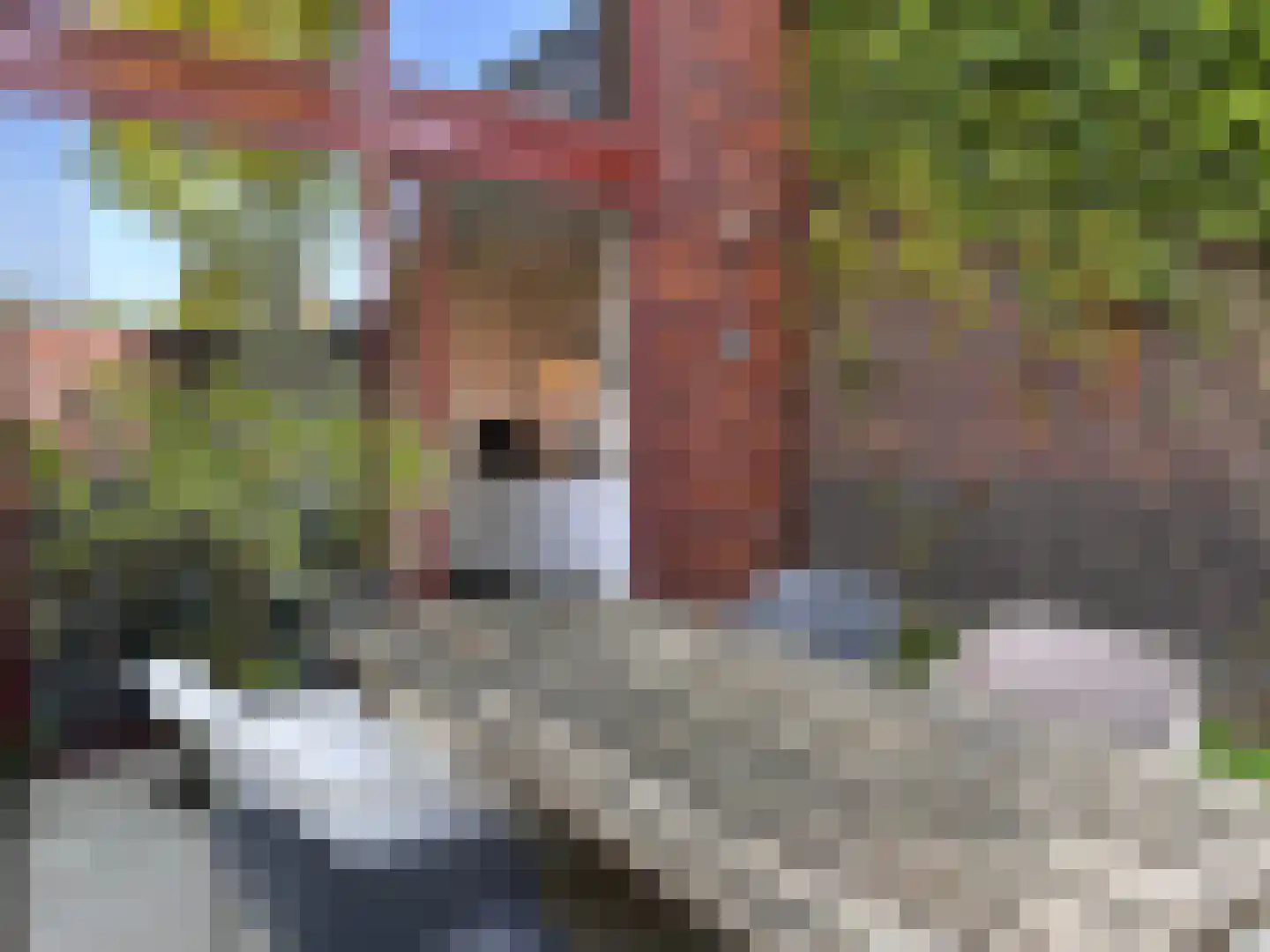 Hoogstraat 5 Valkenswaard thumbnail 35