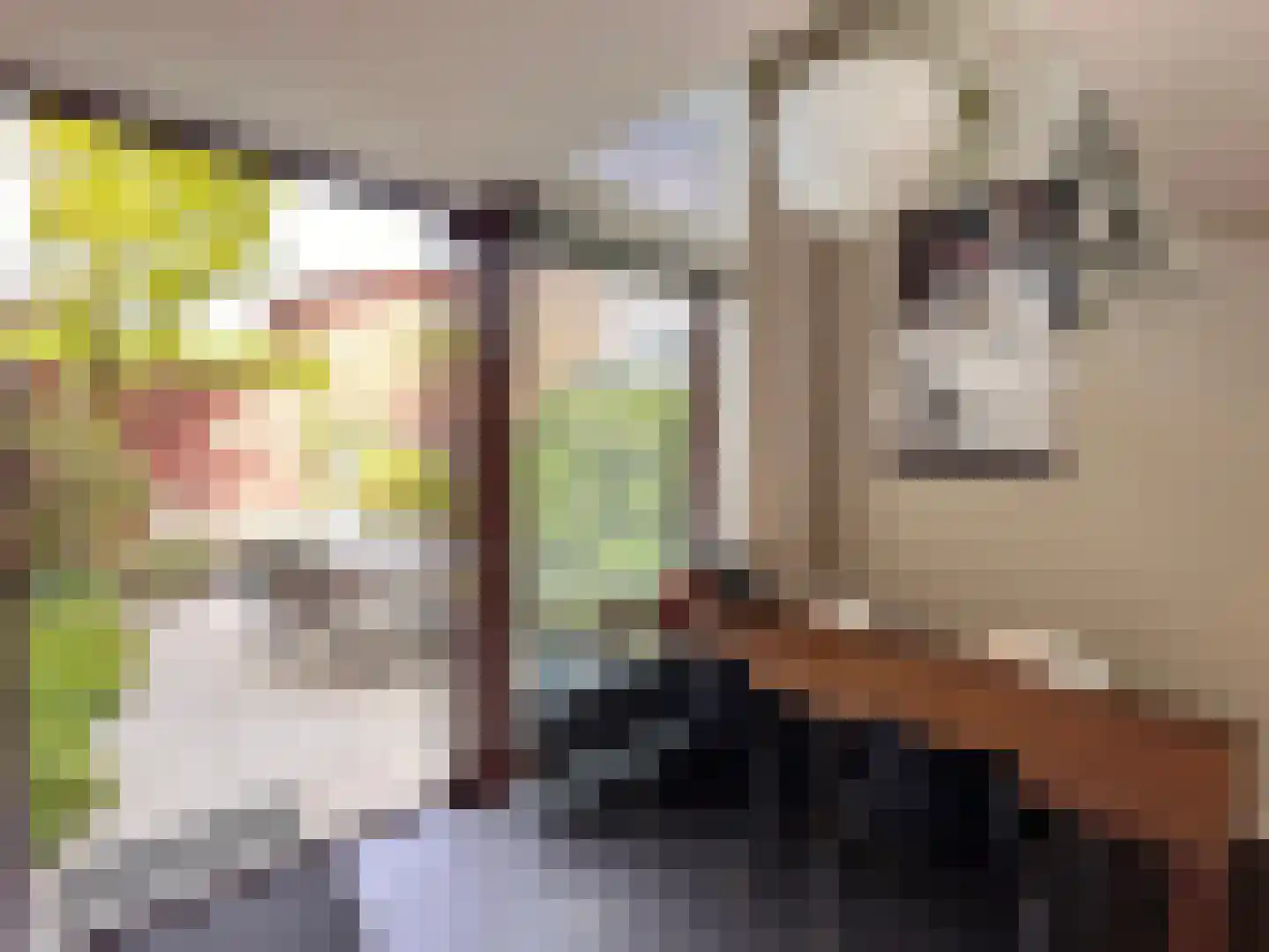 Hoogstraat 5 Valkenswaard thumbnail 6