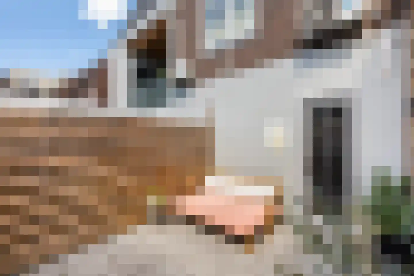 Hoogstraat 5 Zwolle thumbnail 13