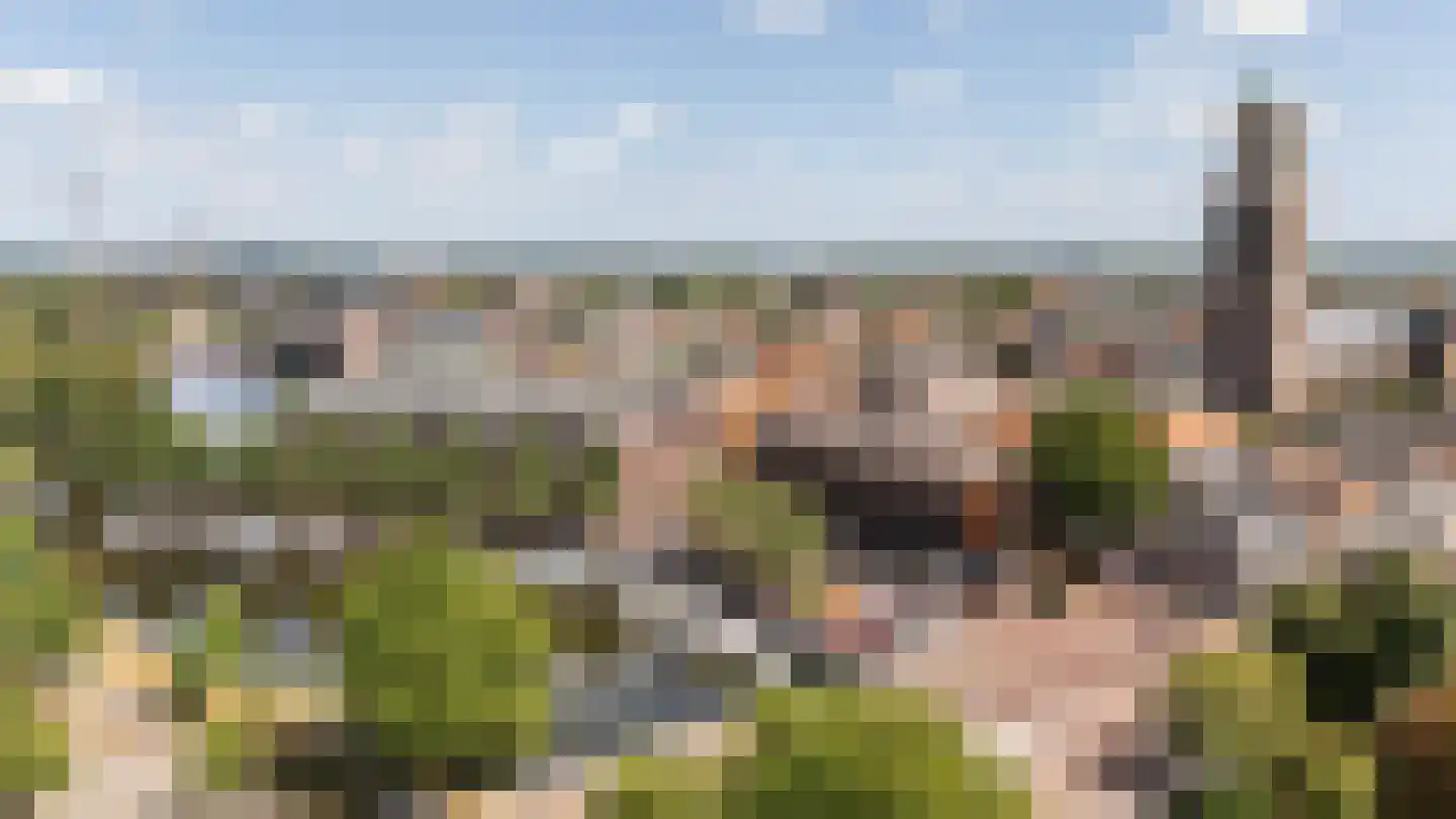 Hoogstraat 5 Zwolle thumbnail 26