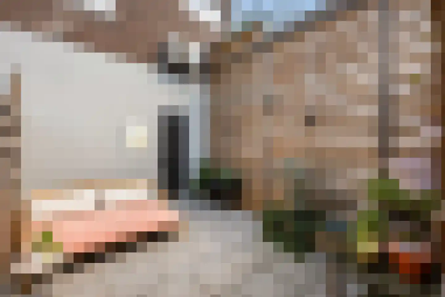 Hoogstraat 5 Zwolle thumbnail 4