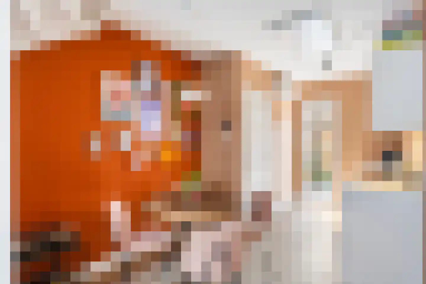 Hoogstraat 5 Zwolle thumbnail 9