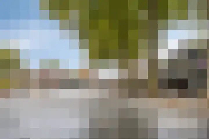 Hoogstraat 50 Rosmalen thumbnail 36