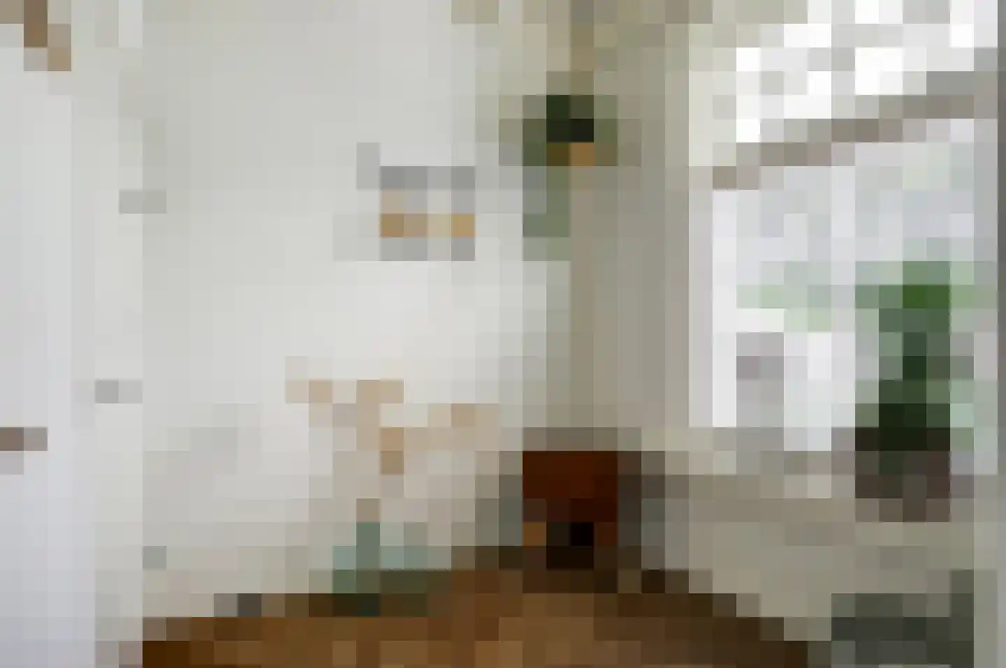 Hoogstraat 51 Wijk bij Duurstede thumbnail 15