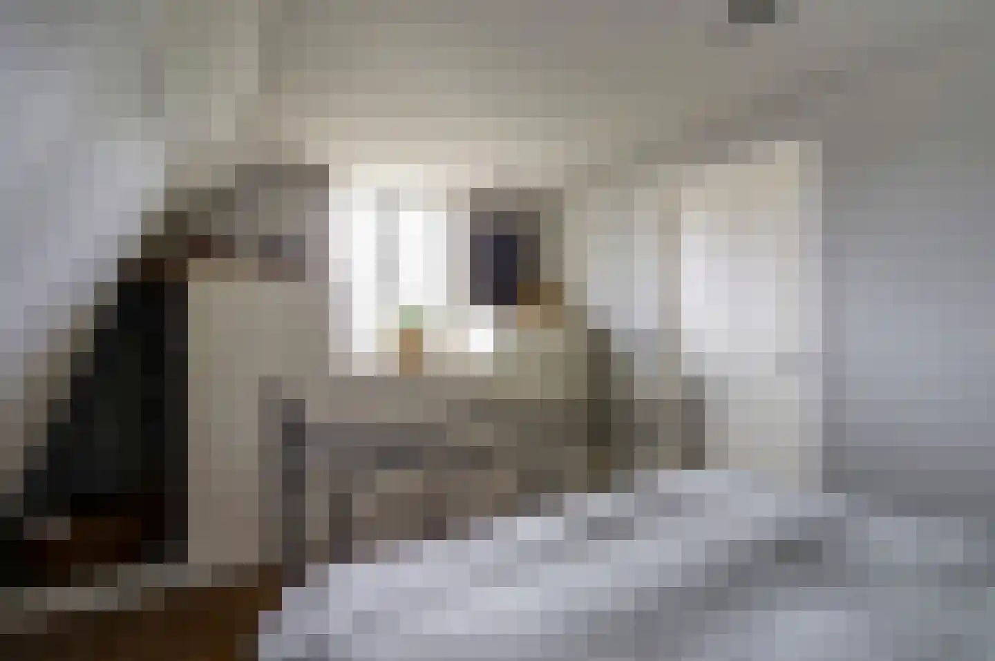 Hoogstraat 51 Wijk bij Duurstede thumbnail 18