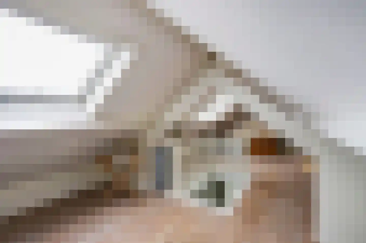 Hoogstraat 51 Wijk bij Duurstede thumbnail 29