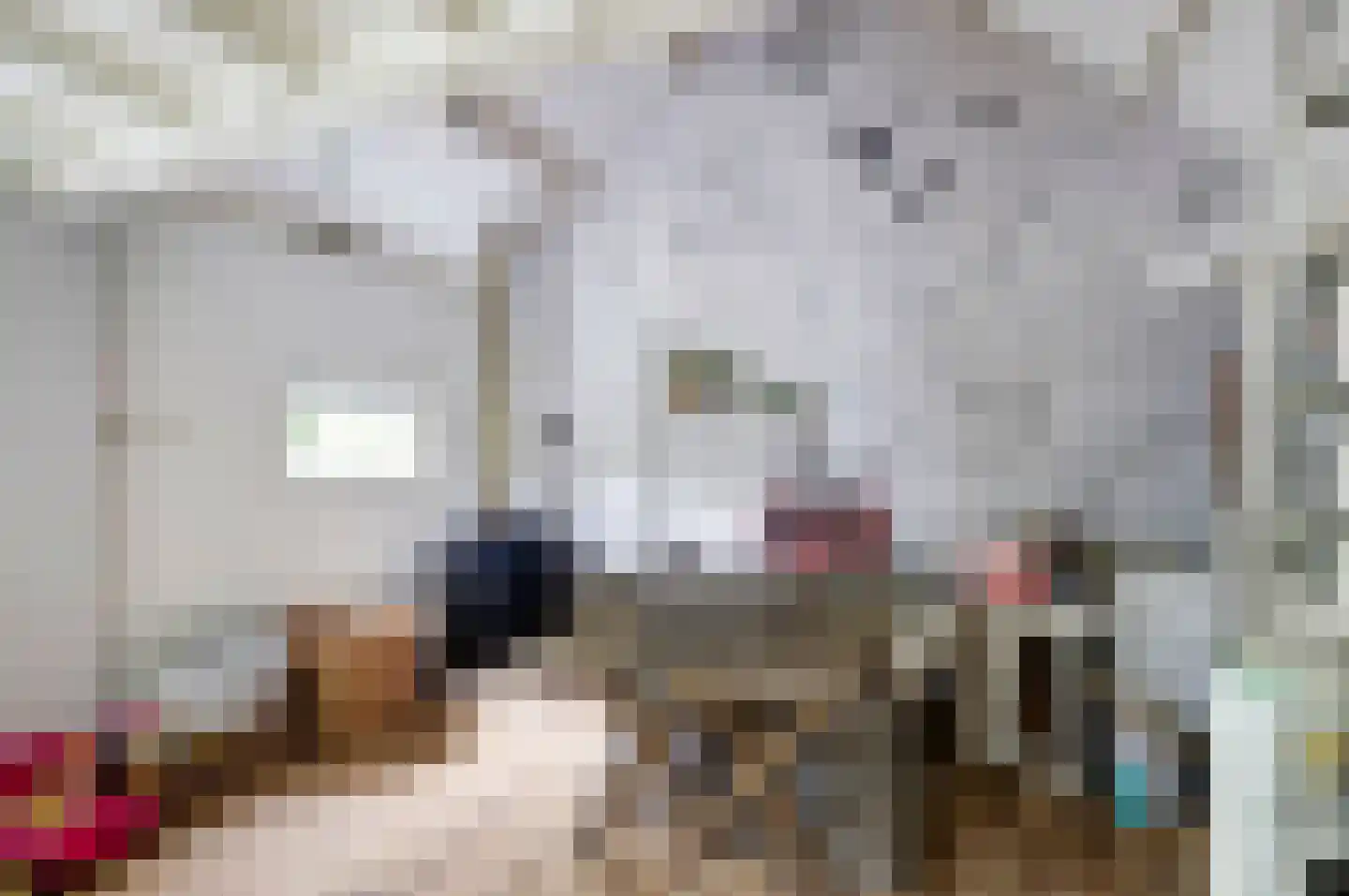 Hoogstraat 51 Wijk bij Duurstede thumbnail 34