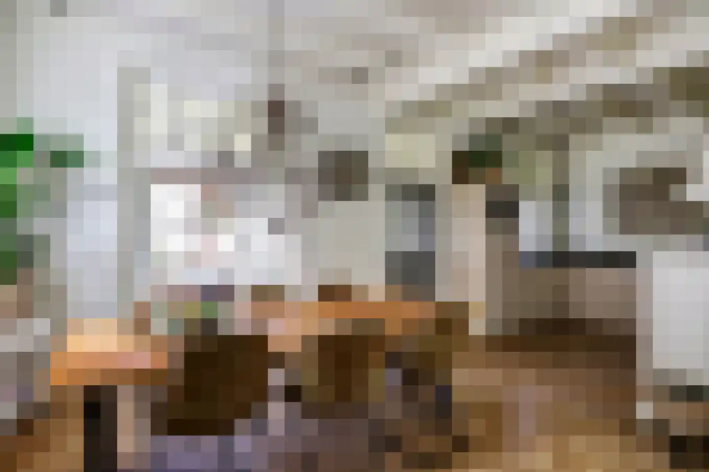 Hoogstraat 51 Wijk bij Duurstede thumbnail 5