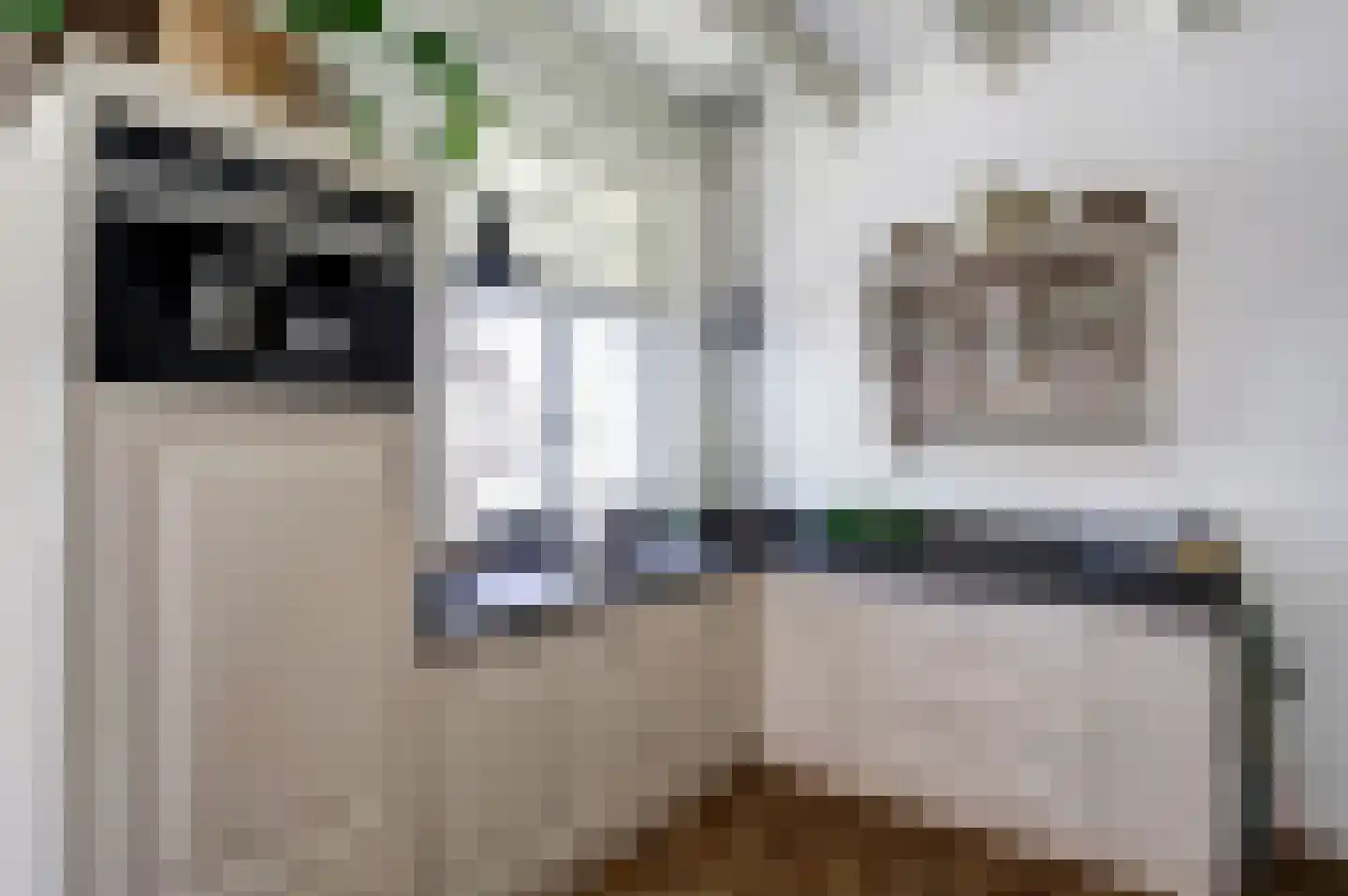Hoogstraat 51 Wijk bij Duurstede thumbnail 6