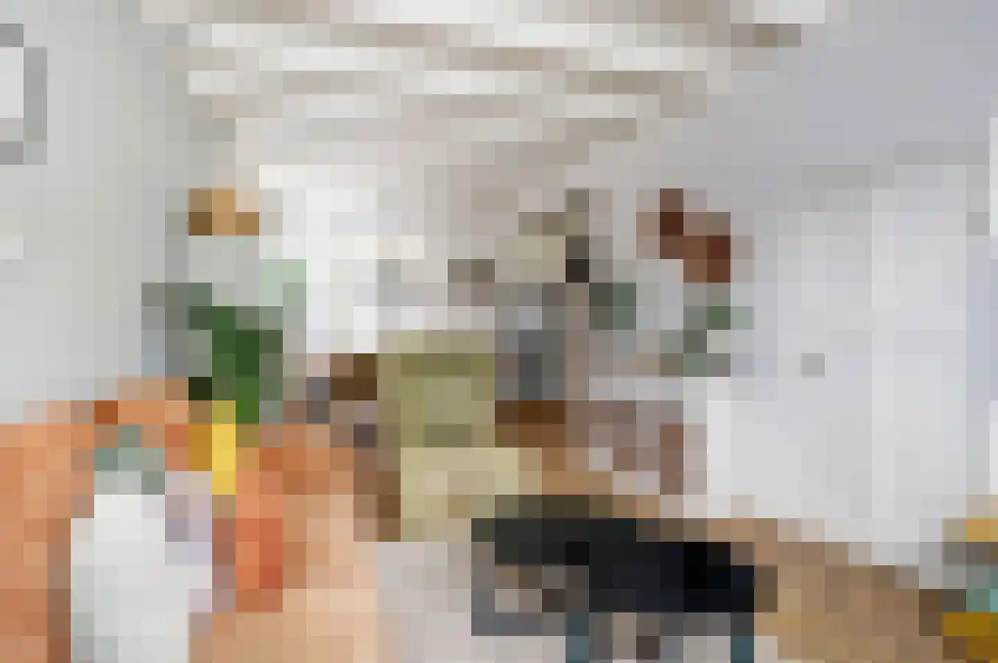 Hoogstraat 51 Wijk bij Duurstede thumbnail 7