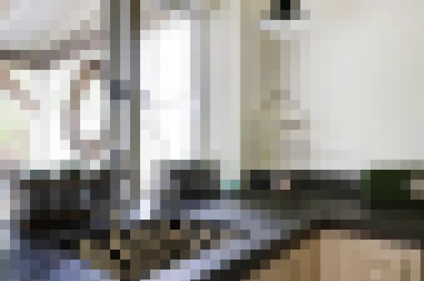 Hoogstraat 51 Wijk bij Duurstede thumbnail 8