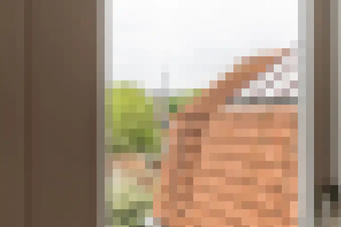 Hoogstraat 52 Tholen thumbnail 26
